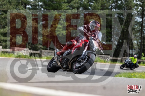 Passo del Muraglione 03-05-25 h15-14 2623