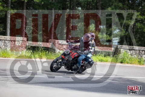 Passo del Muraglione 03-05-25 h15-18 2659