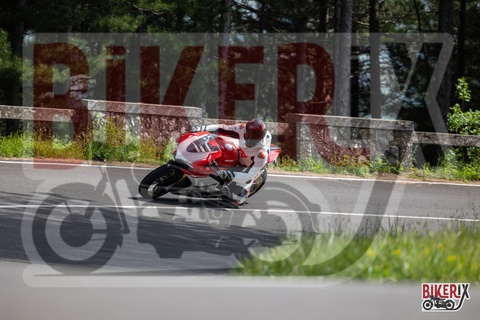 Passo del Muraglione 03-05-25 h15-24 2695
