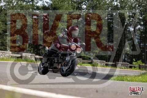 Passo del Muraglione 03-05-25 h15-28 2769