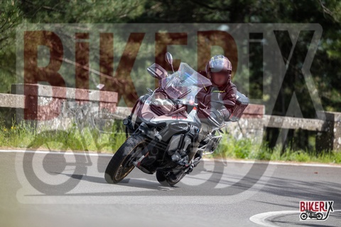 Passo del Muraglione 03-05-25 h15-31 2794