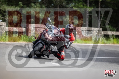 Passo del Muraglione 03-05-25 h15-50 2976