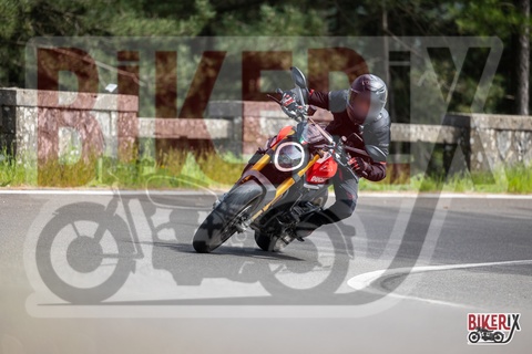 Passo del Muraglione 03-05-25 h15-52 2993