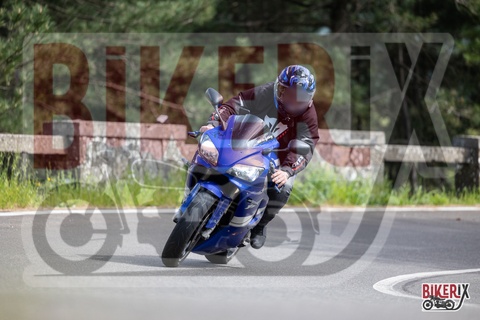 Passo del Muraglione 03-05-25 h15-55 3066