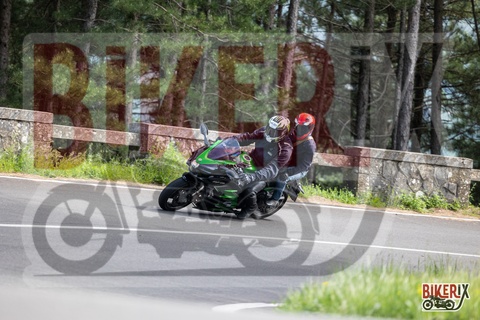 Passo del Muraglione 03-05-25 h15-56 3089