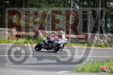 Passo del Muraglione 03-05-25 h15-57 3139