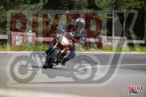 Passo del Muraglione 03-05-25 h16-08 3339