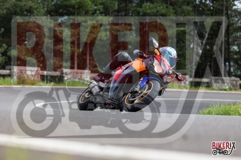 Passo del Muraglione 03-05-25 h16-12 3446