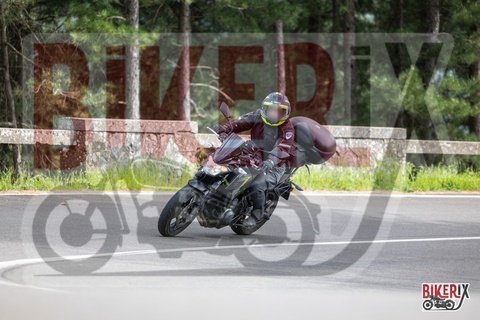Passo del Muraglione 03-05-25 h16-14 3483