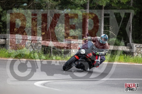 Passo del Muraglione 03-05-25 h16-22 3613