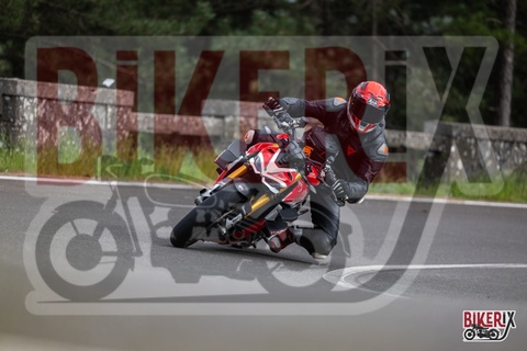 Passo del Muraglione 03-05-25 h16-31 3689