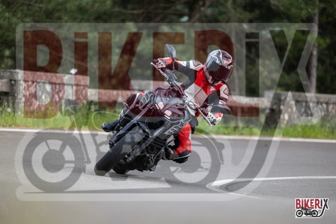 Passo del Muraglione 03-05-25 h16-31 3698