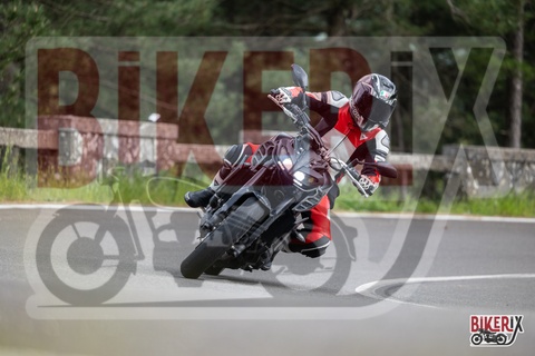 Passo del Muraglione 03-05-25 h16-31 3699