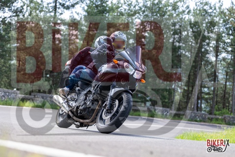 Passo del Muraglione 04-05-25 h11-05 0410