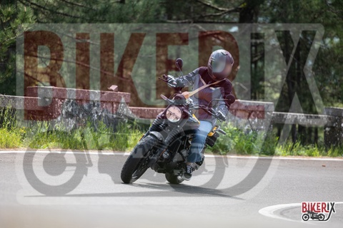Passo del Muraglione 04-05-25 h11-45 0672