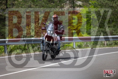 Passo del Muraglione 04-05-25 h11-46 0697