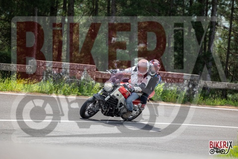 Passo del Muraglione 04-05-25 h12-27 0942