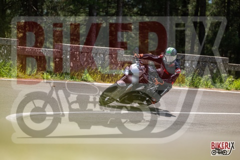 Passo del Muraglione 04-05-25 h12-41 0990