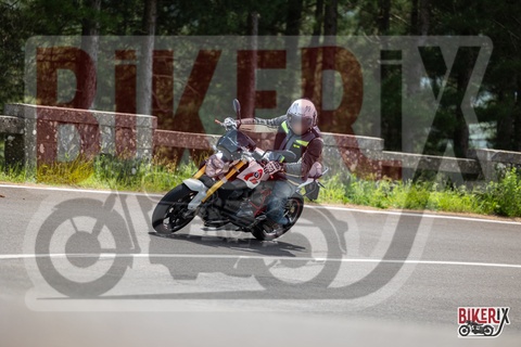 Passo del Muraglione 04-05-25 h13-12 1185