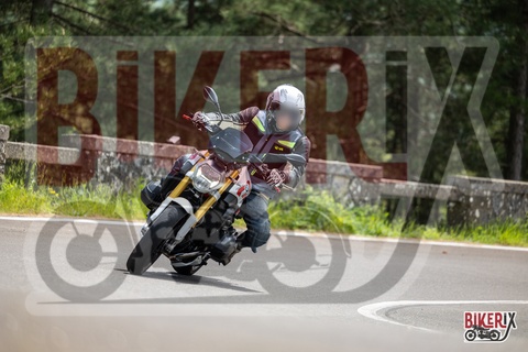 Passo del Muraglione 04-05-25 h13-12 1187