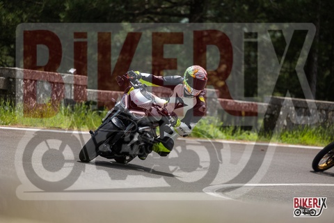 Passo del Muraglione 04-05-25 h13-18 1236