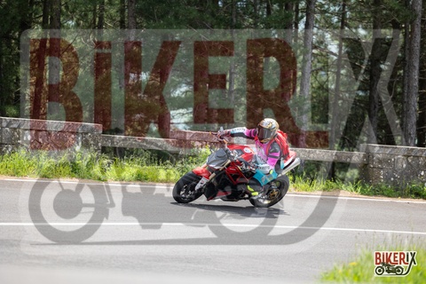 Passo del Muraglione 04-05-25 h13-18 1239