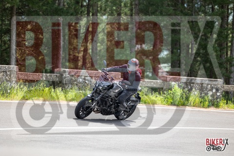 Passo del Muraglione 04-05-25 h13-19 1251