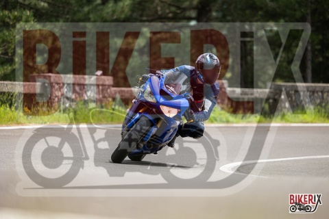 Passo del Muraglione 04-05-25 h13-40 1348