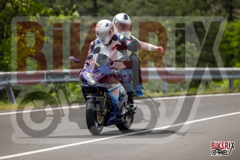 Passo del Muraglione 04-05-25 h13-50 1393