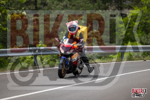 Passo del Muraglione 04-05-25 h13-52 1408