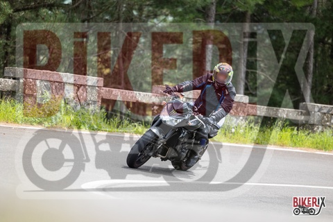 Passo del Muraglione 04-05-25 h14-05 1461