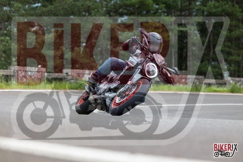 Passo del Muraglione 04-05-25 h14-27 1618
