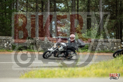 Passo del Muraglione 04-10-25 h11-14 0116