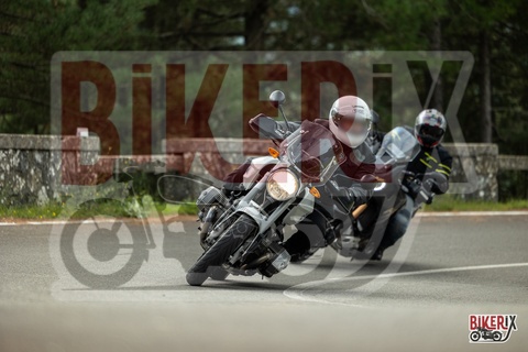 Passo del Muraglione 04-10-25 h11-14 0118