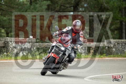 Passo del Muraglione 04-10-25 h11-23 0137