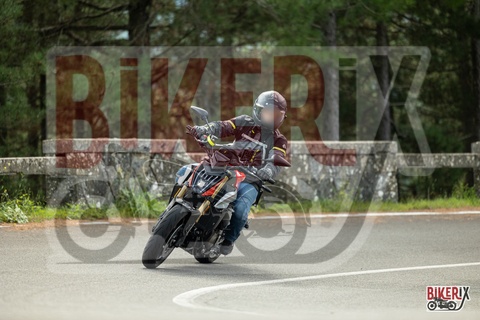 Passo del Muraglione 04-10-25 h11-27 0148