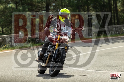 Passo del Muraglione 04-10-25 h11-59 0273