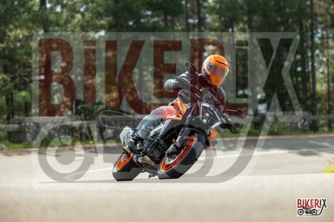 Passo del Muraglione 04-10-25 h11-59 0274