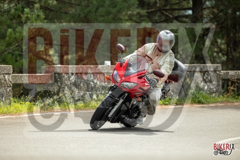 Passo del Muraglione 04-10-25 h12-17 0397