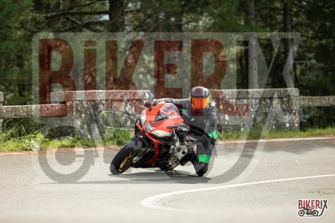 Passo del Muraglione 04-10-25 h12-17 0407