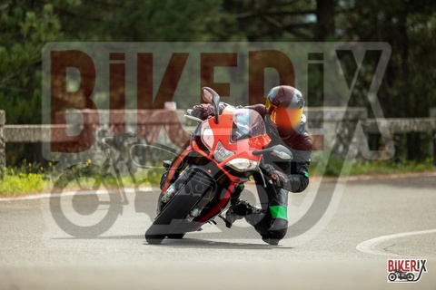 Passo del Muraglione 04-10-25 h12-17 0408