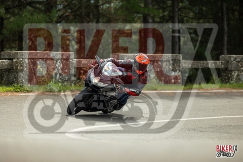 Passo del Muraglione 04-10-25 h12-19 0421