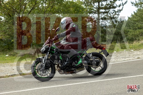 Passo del Muraglione 04-10-25 h12-25 0479