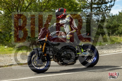 Passo del Muraglione 04-10-25 h12-38 0526