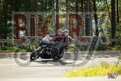 Passo del Muraglione 04-10-25 h12-48 0566