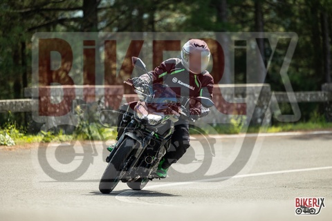 Passo del Muraglione 04-10-25 h12-53 0594