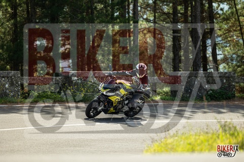 Passo del Muraglione 04-10-25 h12-53 0599