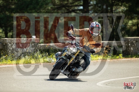 Passo del Muraglione 04-10-25 h13-00 0630