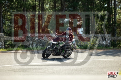 Passo del Muraglione 04-10-25 h13-01 0641