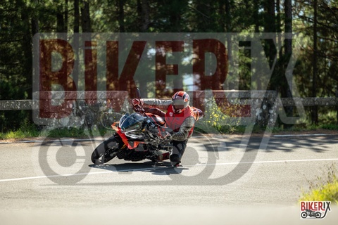 Passo del Muraglione 04-10-25 h13-05 0659